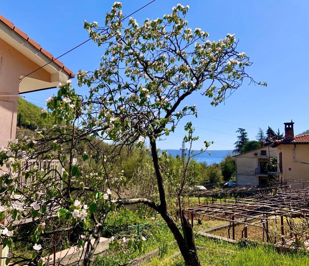 Villa Flamingo Mošćenička Draga المظهر الخارجي الصورة