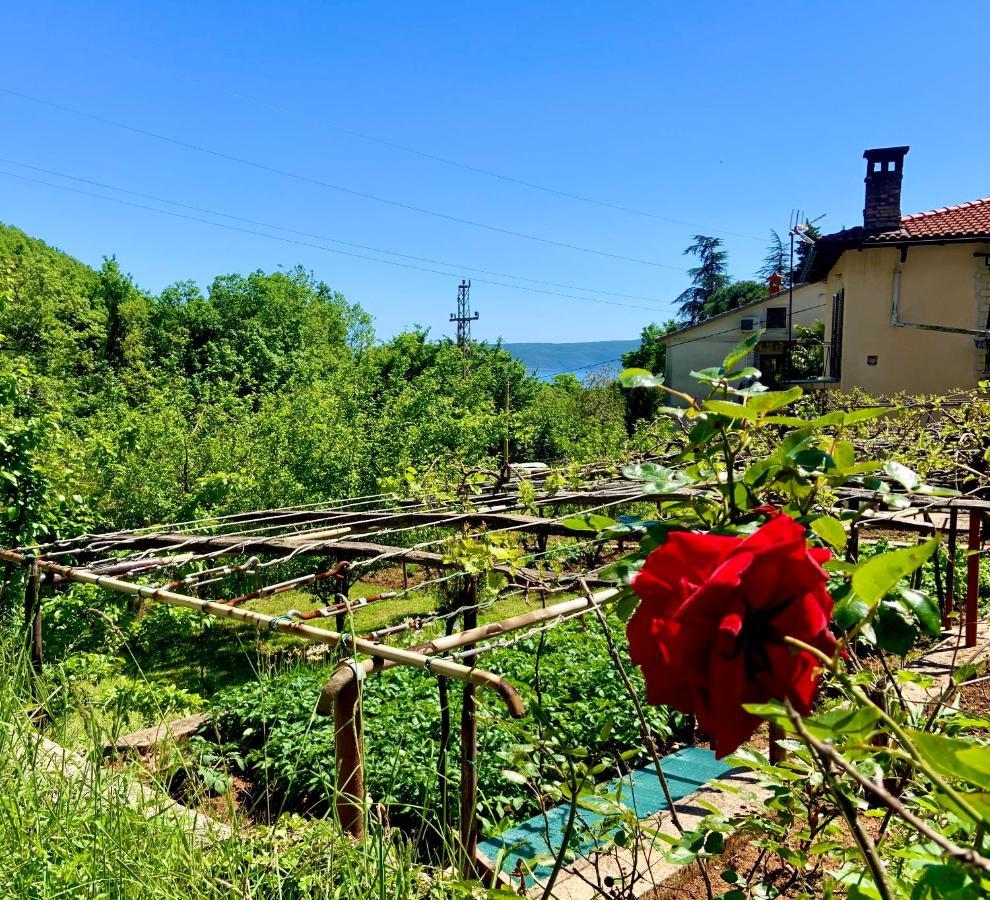 Villa Flamingo Mošćenička Draga المظهر الخارجي الصورة